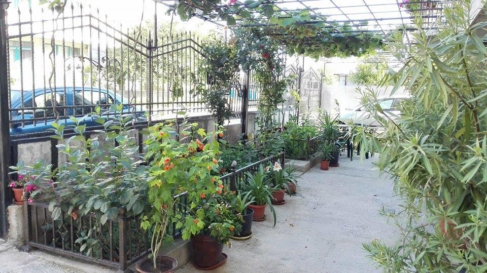 Dracena Guesthouse Ravda Luaran gambar